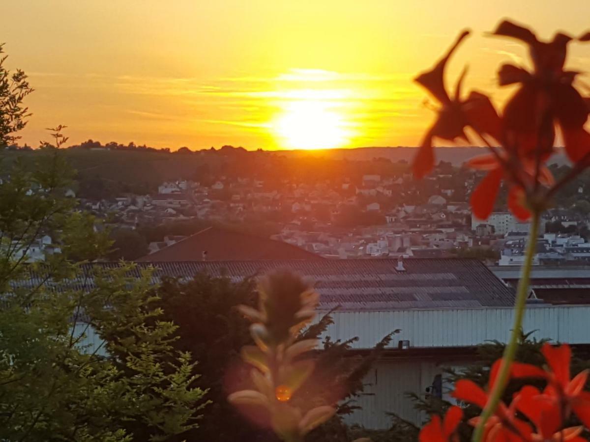 La Villa Geiss Epernay Luaran gambar